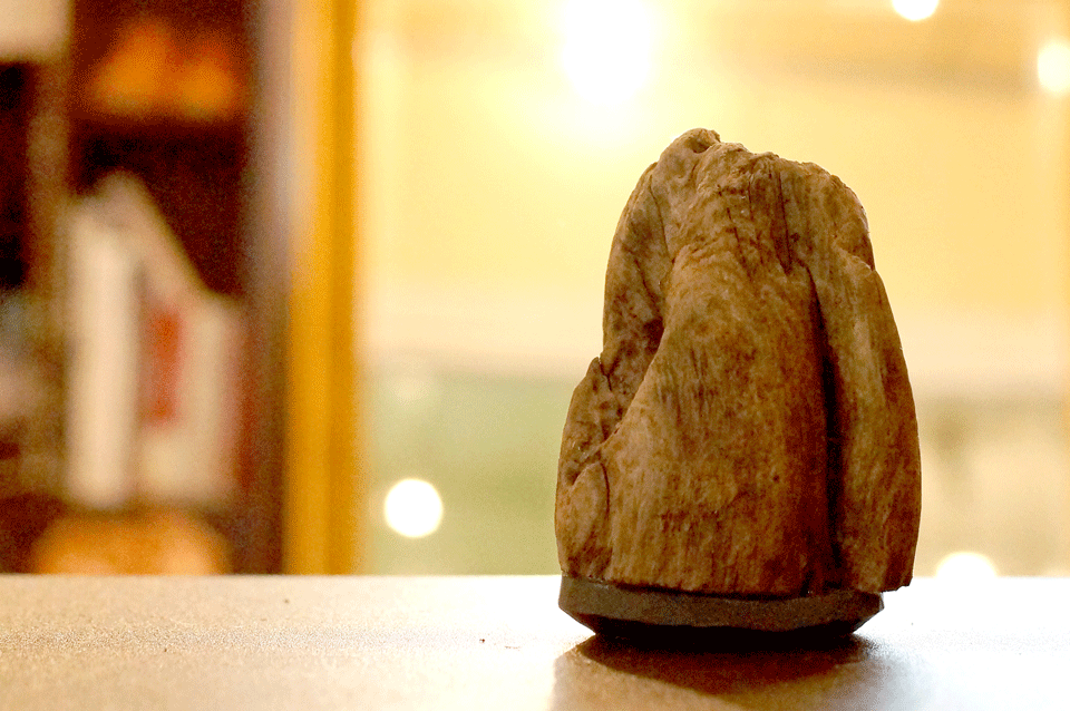 DSC00746.gif