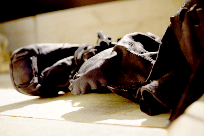 DSC02645.gif