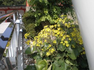 20101130_1421816.jpg