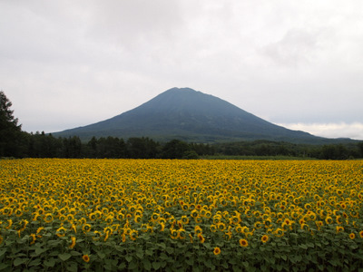 南北海道旅行三日目 羊蹄山