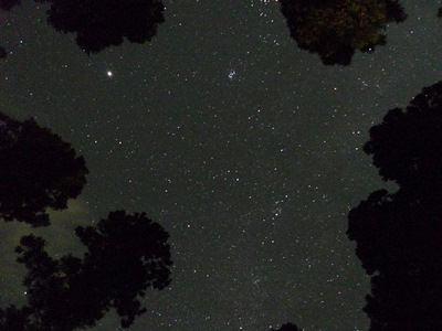 花の森オートキャンピア 夜空