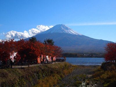 2012紅葉狩り 河口湖紅葉まつり 2