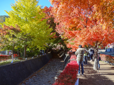 2012紅葉狩り 河口湖紅葉まつり 3
