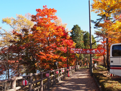2012紅葉狩り 山中湖紅葉まつり 1