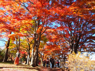 2012紅葉狩り 山中湖紅葉まつり 3
