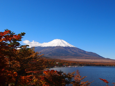 2012紅葉狩り 山中湖紅葉まつり 6