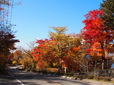 2012紅葉狩り 山中湖紅葉まつり 7