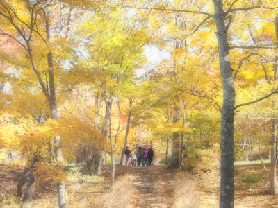 2012紅葉狩り 山中湖紅葉まつり 8