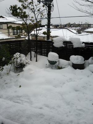雪かき もん すけ