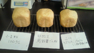 2010062117160000.jpg