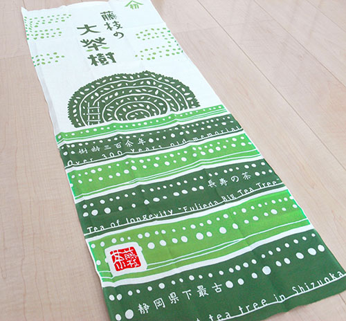 大茶樹3