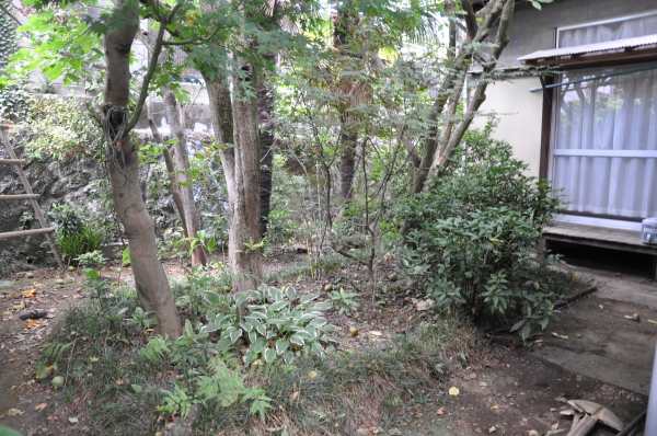 DSC_8642.JPG