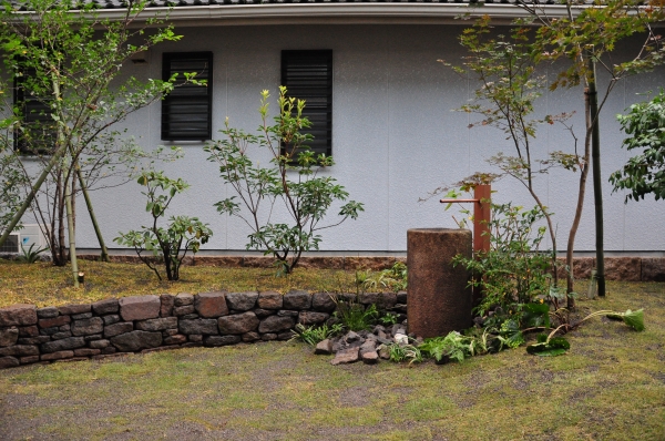 DSC_9320.JPG