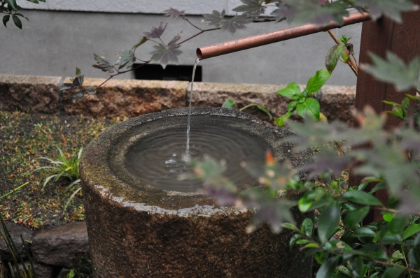 DSC_9326.JPG