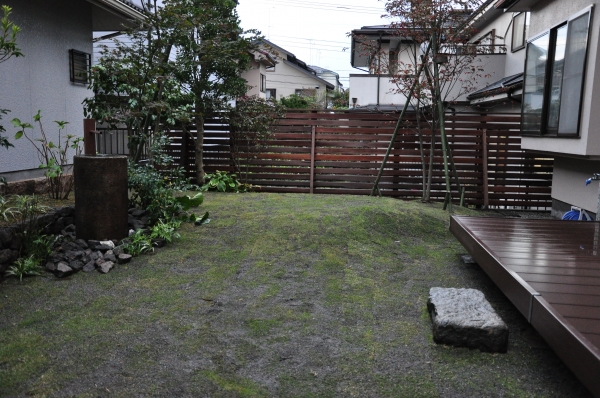 DSC_9335.JPG