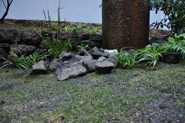 DSC_9367.JPG