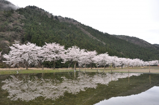 DSC_0929.JPG