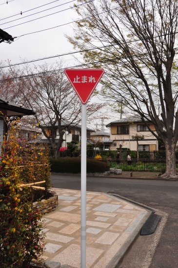 DSC_1252.JPG