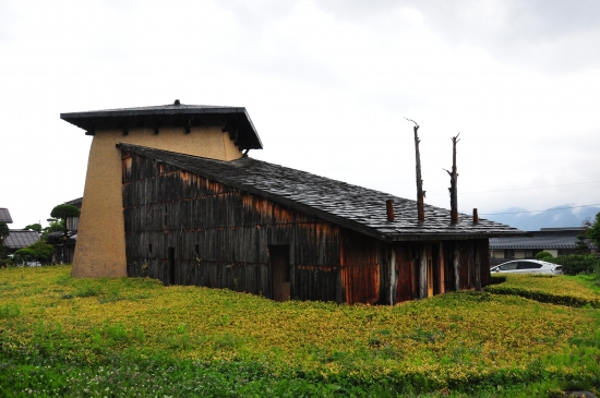 DSC_2893.JPG