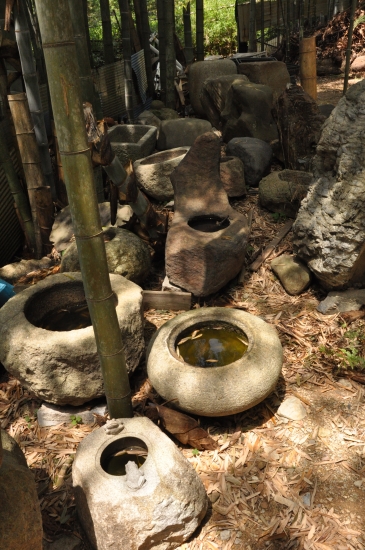 DSC_2977.JPG