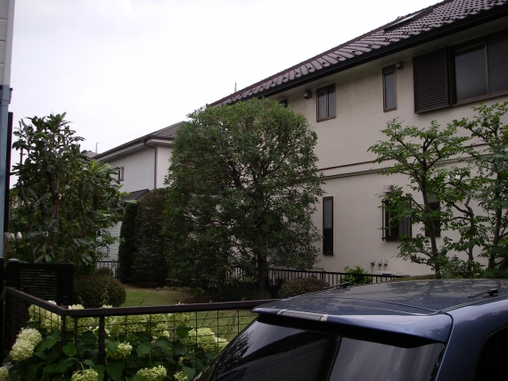 IMGP8329.JPG