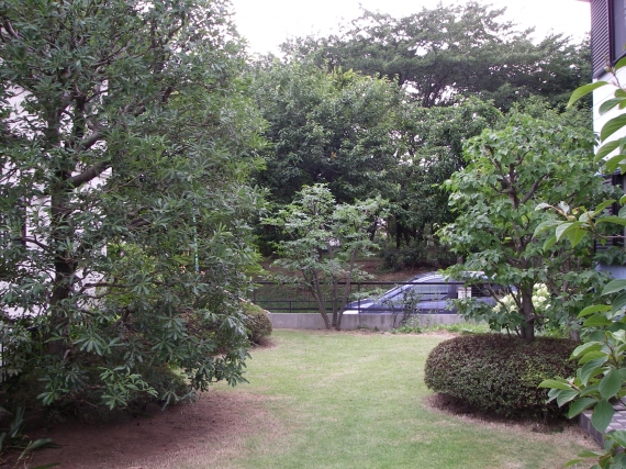 IMGP8330.JPG
