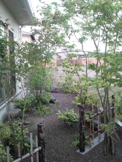 DCF00847.JPG