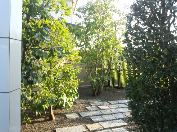 DCF00919.JPG