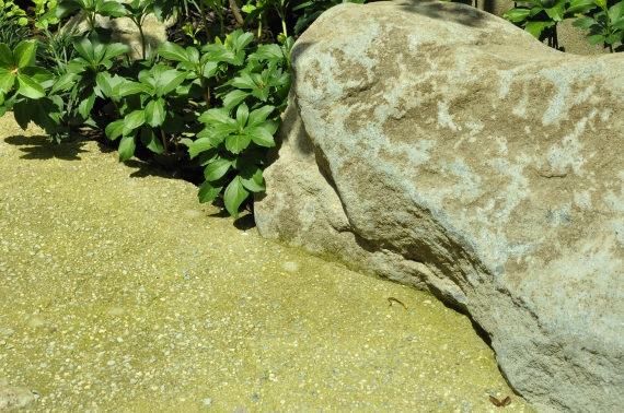 DSC_6171.JPG