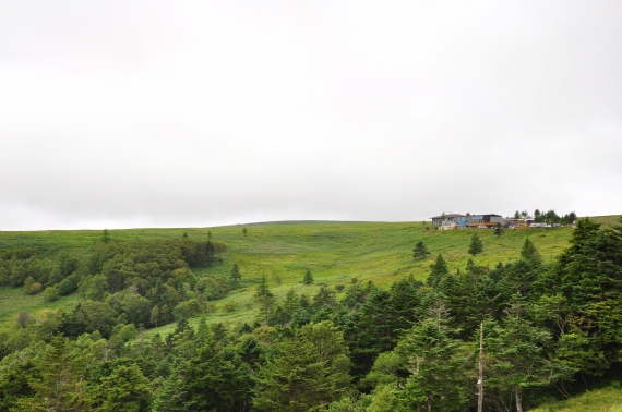 DSC_6248.JPG