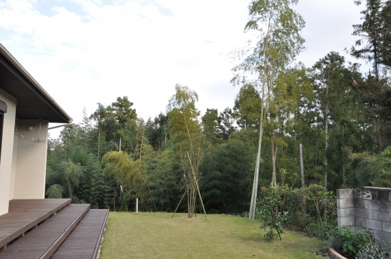 DSC_7352.JPG