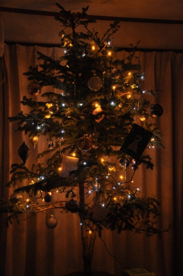 DSC_7625.JPG