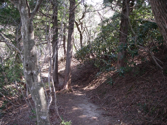IMGP0913.JPG