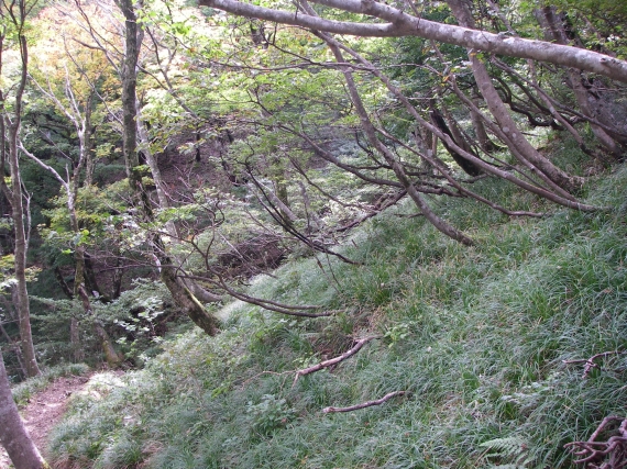 IMGP5642.JPG