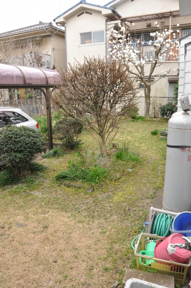 DSC_5205.JPG