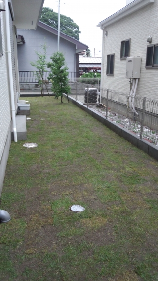DCF00052.JPG