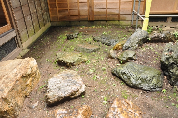140827-021.JPG