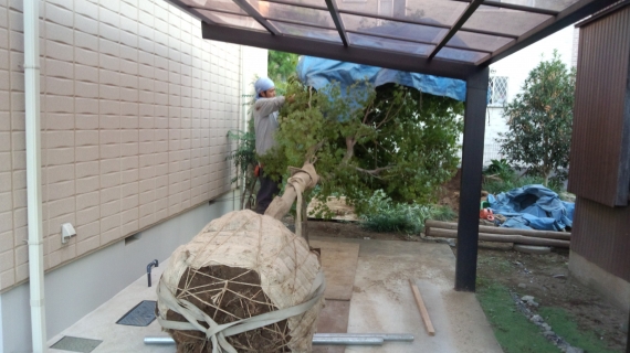 150929-001.JPG