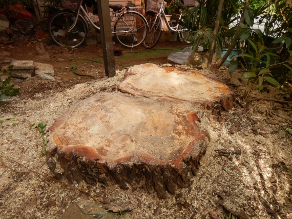 150930-006.JPG