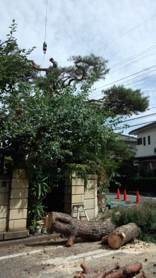 150930-009.JPG