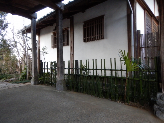 DSCN0940.JPG