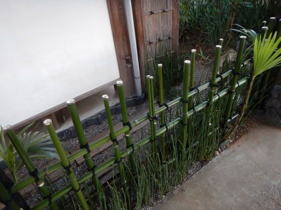 DSCN0952.JPG