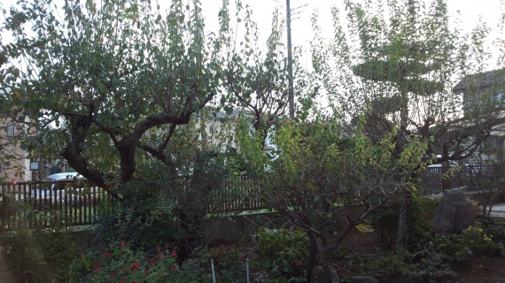 DCF00368.JPG