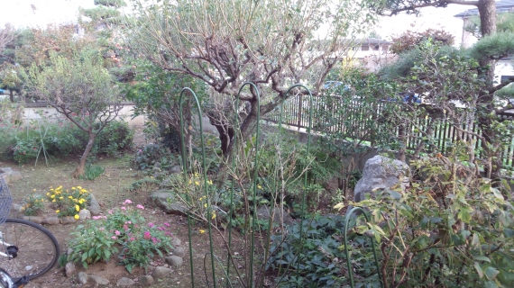 DCF00372.JPG