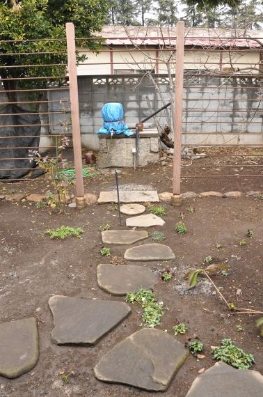 DSC_9333.JPG