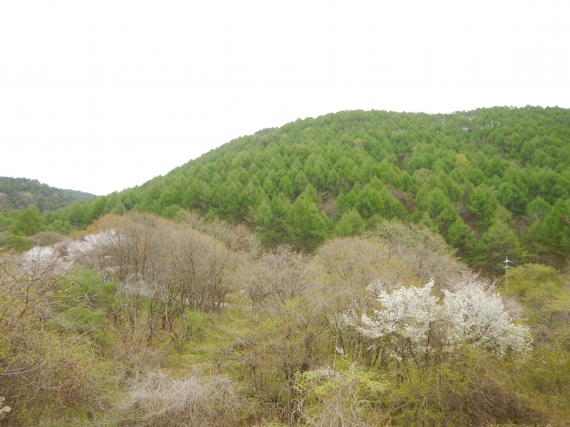 DSCN1207.JPG