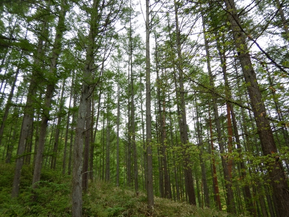 DSCN1213.JPG