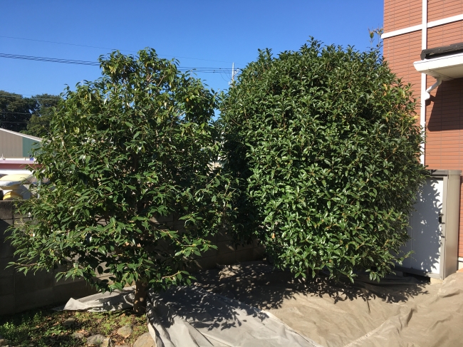 京都　門型両手鋏 京都 門型両手鋏 はさみの商品一覧 | 三木屋金物店‥昔ながら