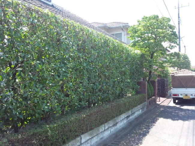 刈込み鋏 「京都門型」「リョウテ」 | ZOEN ARAI PHOTO