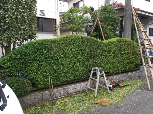 刈込み鋏 「京都門型」「リョウテ」 | ZOEN ARAI PHOTO